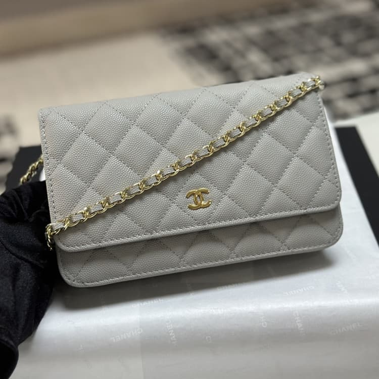 샤넬 25c 크루즈 WOC 미니백